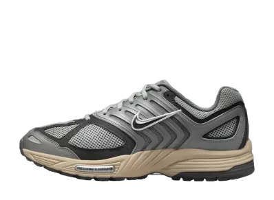 ナイキ エアペガサス 2K5 "ライトパミス"