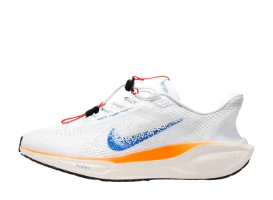 Nike Pegasus EasyOn Blueprint "Multi Color"