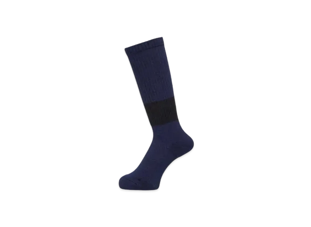 Goldwin C3 Fit Daily Soft Pile Border Socks (C3 Fit / Unisex) "Navy"