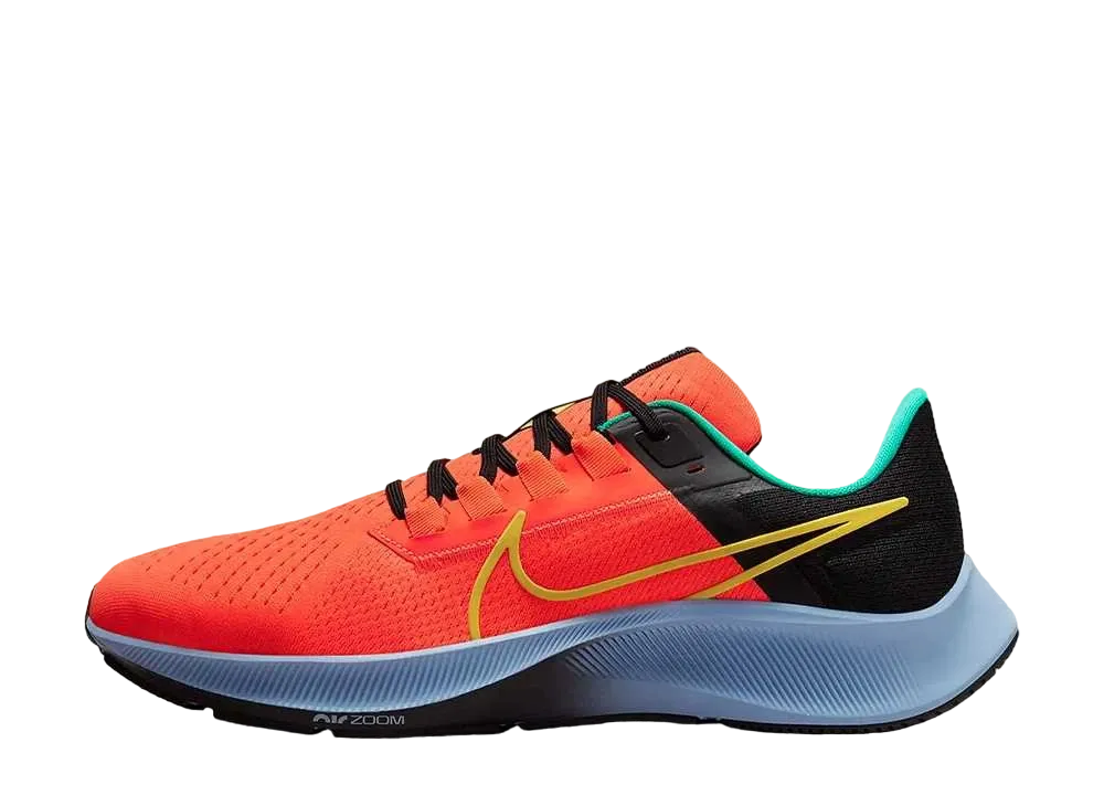 Nike Air Zoom Pegasus 38 "Unity"