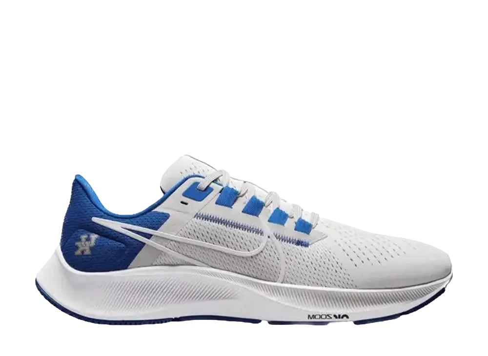 ナイキ エアズームペガサス38 "ケンタッキー"