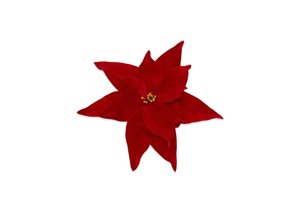 JW ANDERSON Velvet Poinsettia Brooch "Red"