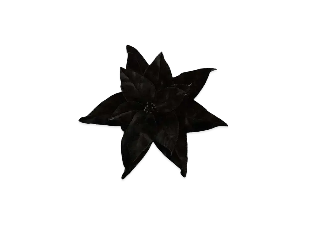 JW ANDERSON Velvet Poinsettia Brooch "Black"