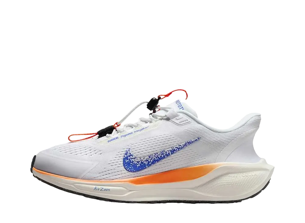 ナイキ ウィメンズ ペガサス イージー オン FP "ブループリント"