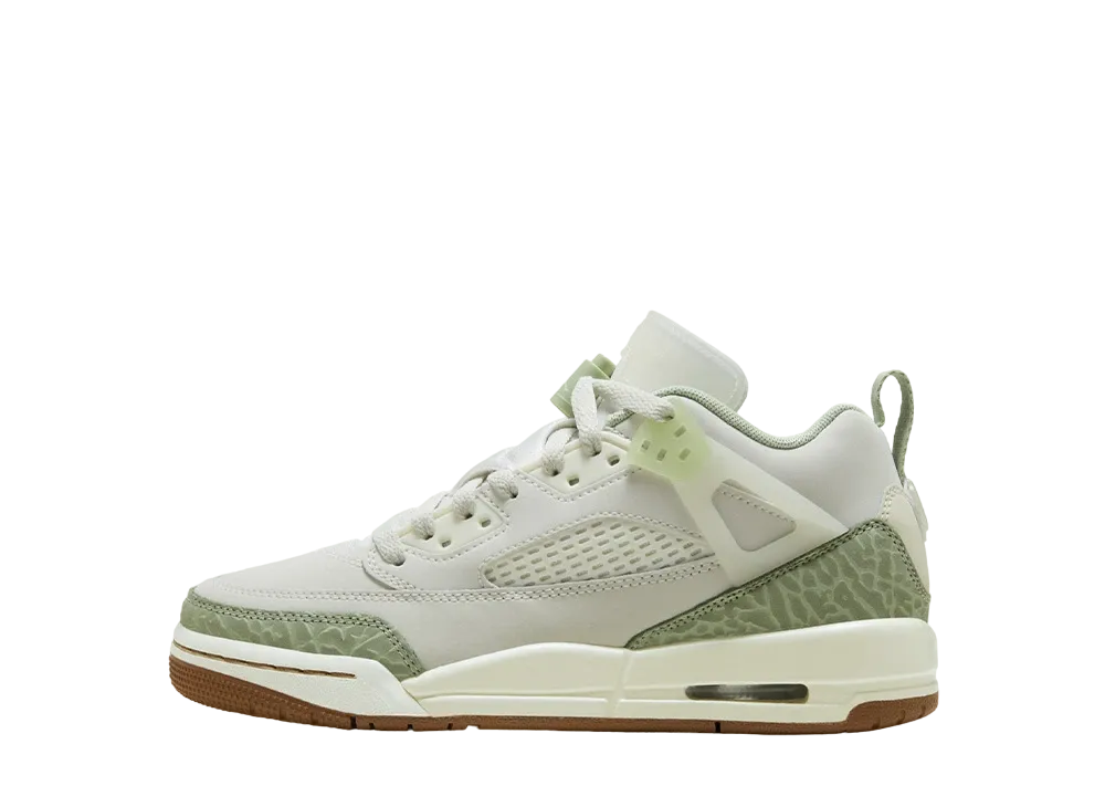 ナイキ GS エアジョーダン スパイジーク "メロンティント"