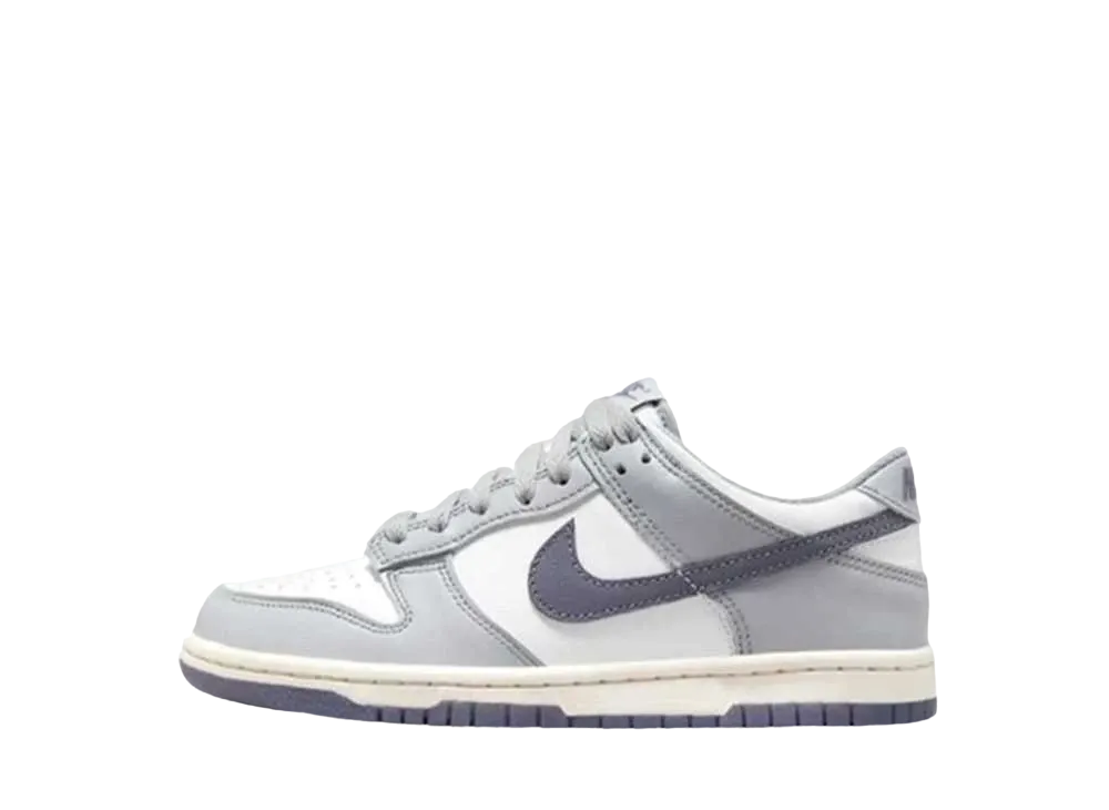 Nike GS Dunk Low "Summit White/Wolf Grey/Light Carbon"