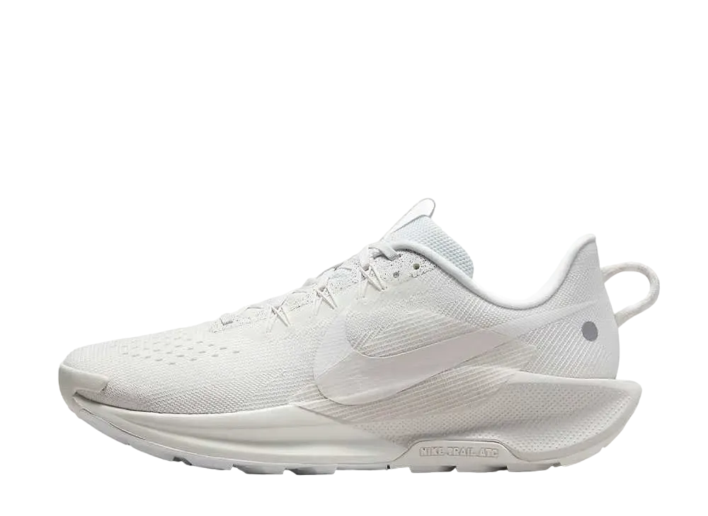 Nike Pegasus Trail5 "Summit White/Light Ore Wood Brown/Sail"