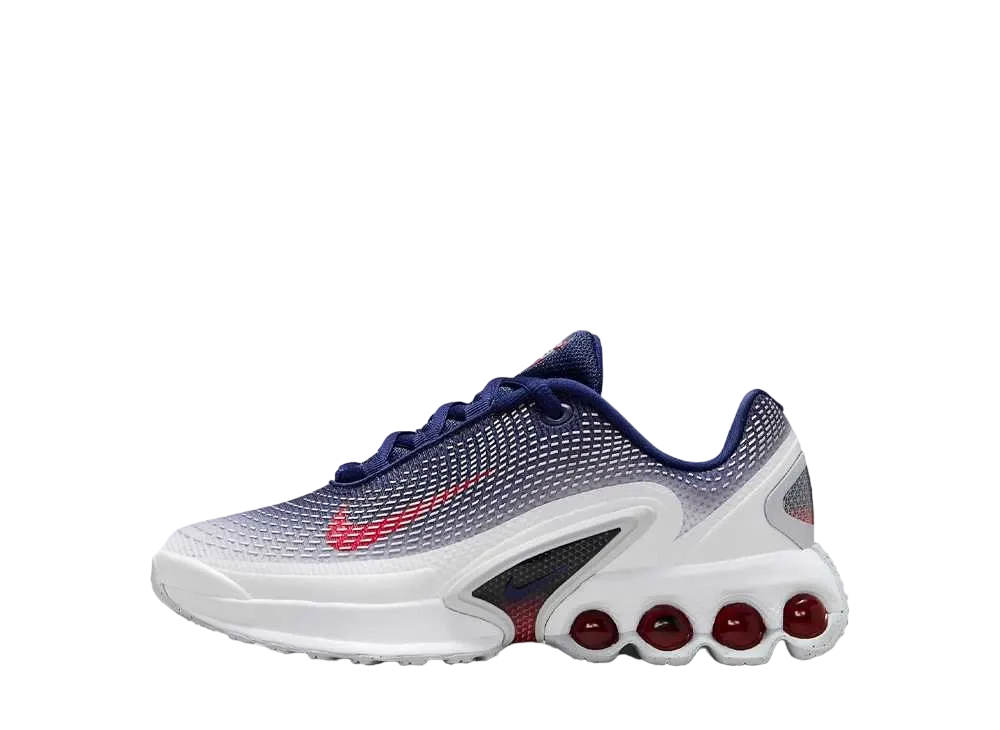 Nike GS Air Max DN "USA"