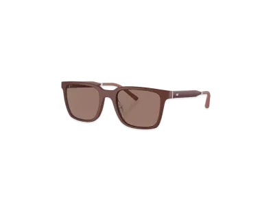 OLIVER PEOPLES Mr. Federer "Semi-Matte Brick"
