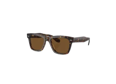 OLIVER PEOPLES N.04 Sun "Atago Tortoise"