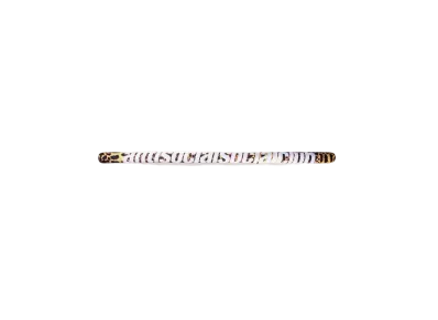 ANTI SOCIAL SOCIAL CLUB SUMMER 24 MAJOR DROP Failed Miserably Pool Noodle "Tan/Brown"