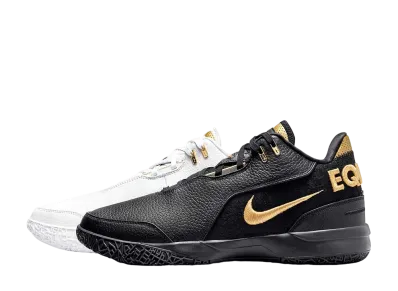 ナイキ レブロン NXXT ジェン AMPD "エクイティ" (FJ1566-103/FJ1567-103)