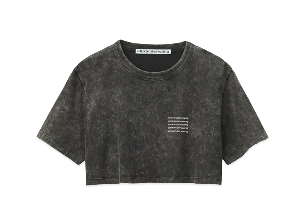 Alexander Wang - アレキサンダーワン Tシャツ2枚セット アレキサンダーワン アレキサンダーワン Tシャツ（2ページ目） | 通販