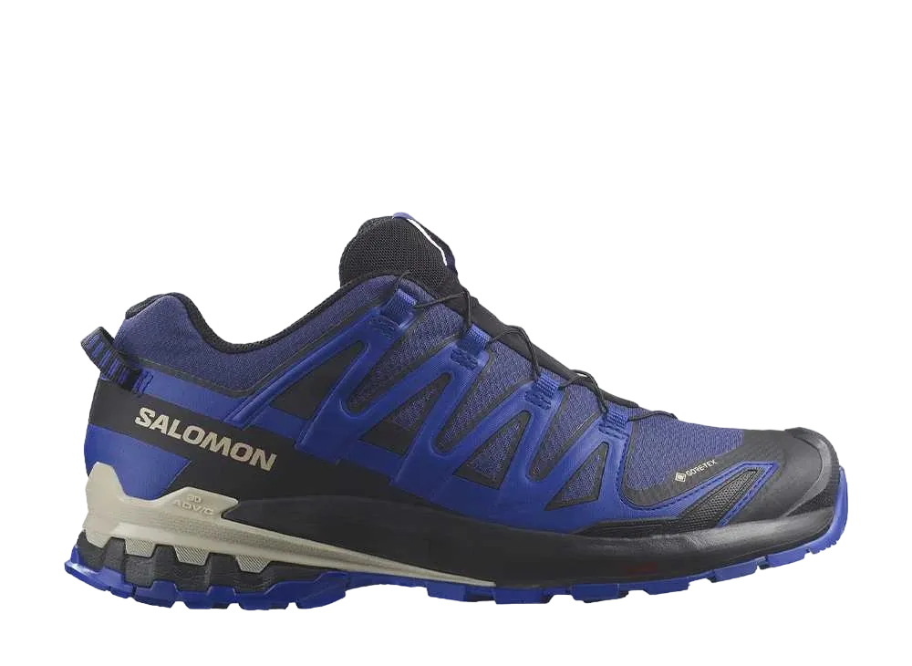 サロモン XA プロ 3D V9 ゴアテックス "ブループリント/サーフザウェブ/ラピスブルー"