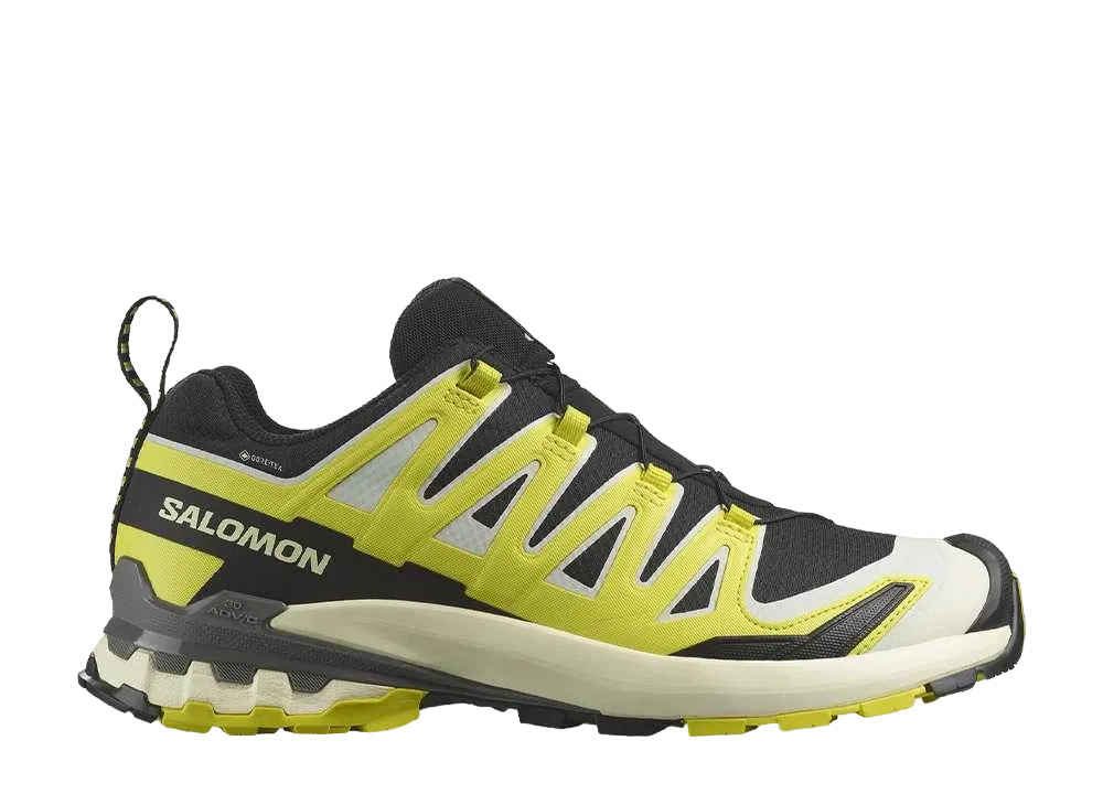 サロモン XA プロ 3D V9 ゴアテックス "ブラック/サルファースプリング/ピューター"