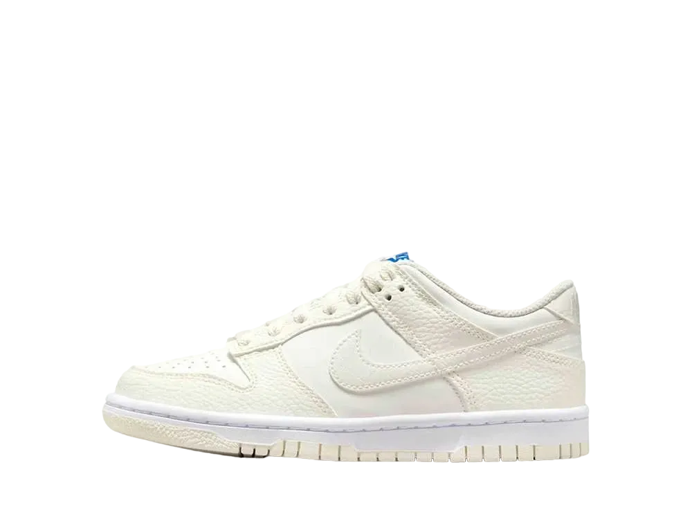 ナイキ GS ダンク ロー "セイル/ホワイト/ブラック"
