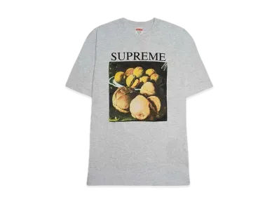 Supreme Still Life Tee "Grey"