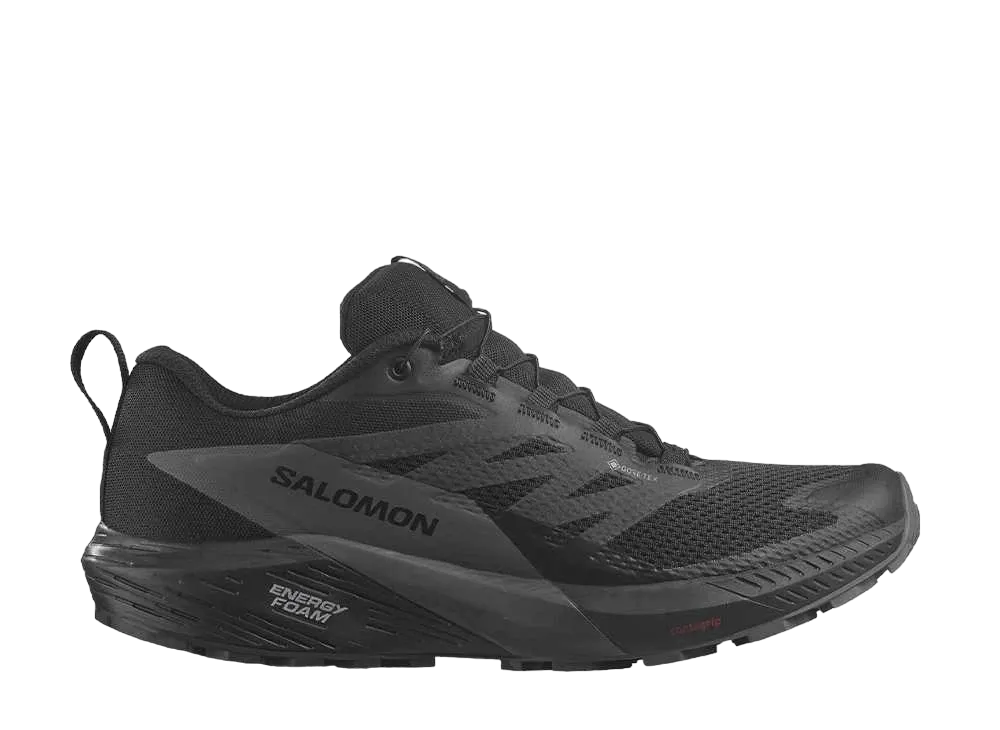 Salomon Sense Ride 5 GORE-TEX "Black/Magnet"