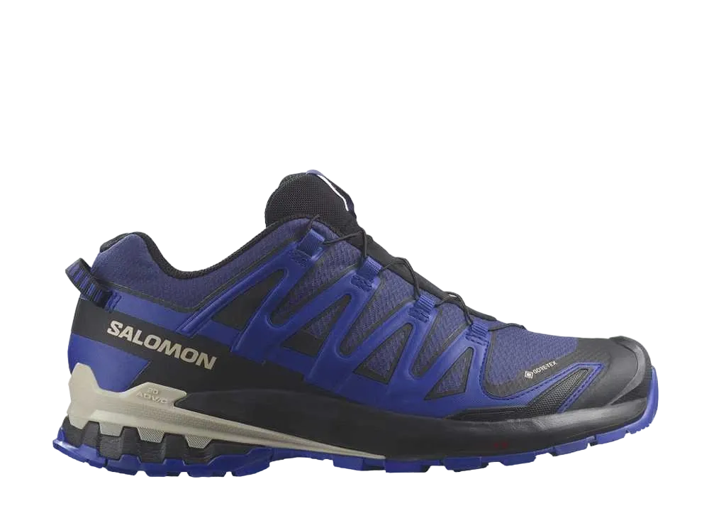 サロモン XA プロ 3D V9 ゴアテックス "ブループリント/サーフザウェブ/ラピスブルー"