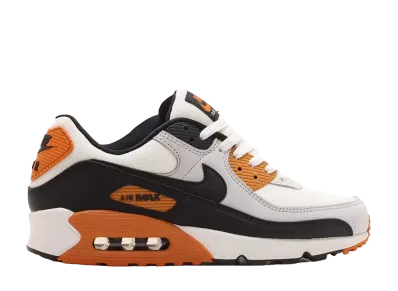 Nike Air Max 90 "Pure Platinum/Summit White/Black/Monarch"