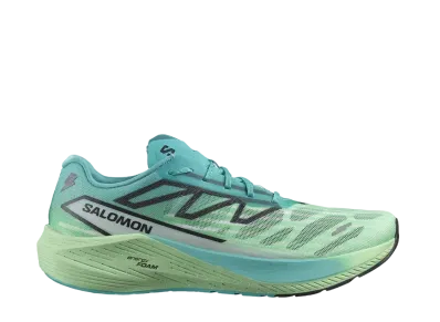 Salomon Aero Volt 2 "Peacock Blue/Spring Bouquet/Green Ash"
