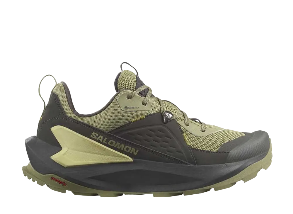 Salomon Elixir GORE-TEX "Black/Dried Herb/Southern Moss"