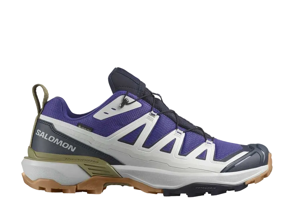 Salomon X Ultra 360 Edge GORE-TEX "Spectrum Blue/Glacier Gray/Sharkskin"