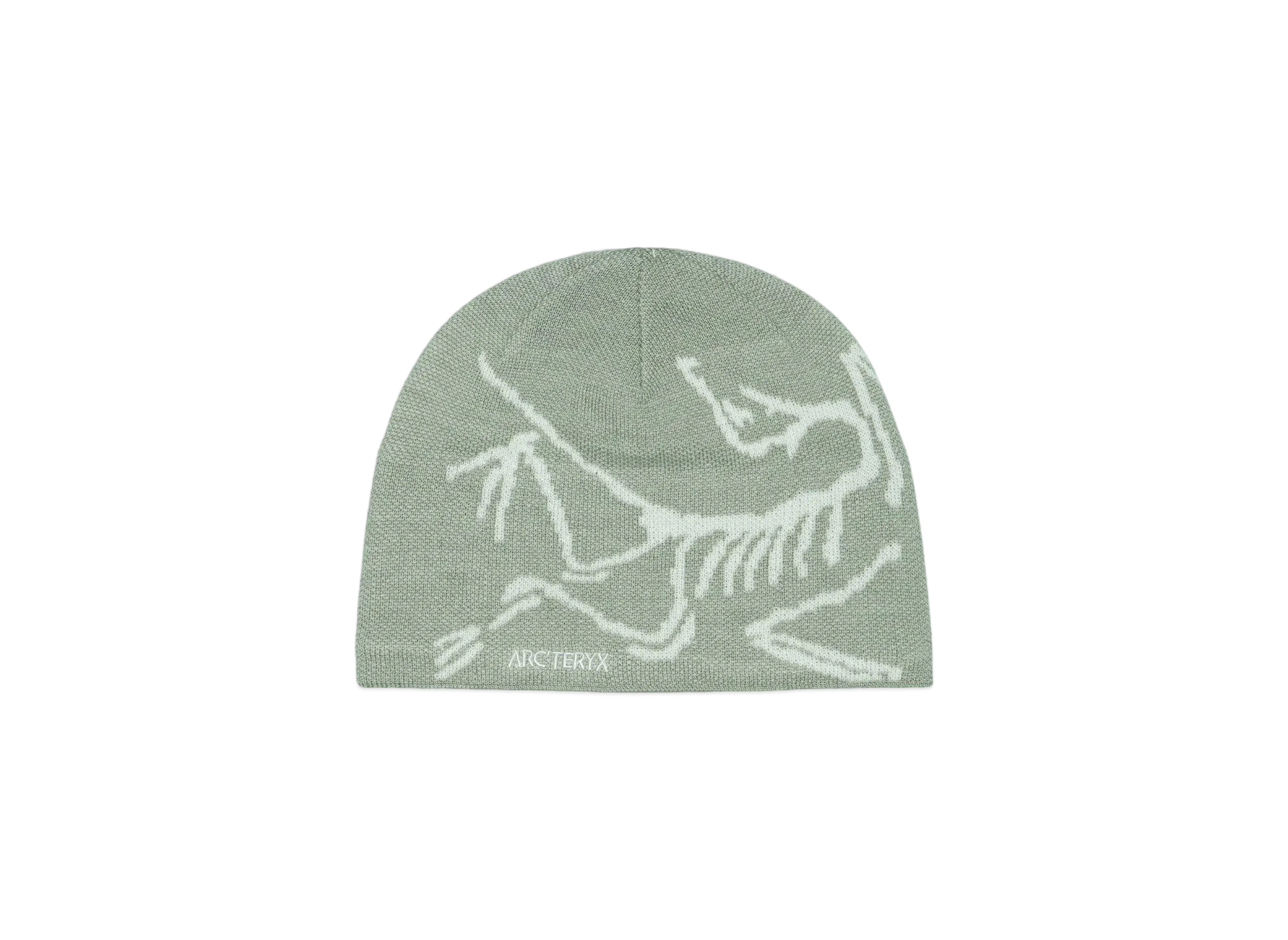 ARC'TERYX Bird Head Toque X000006756 "Habitat/Atmos"
