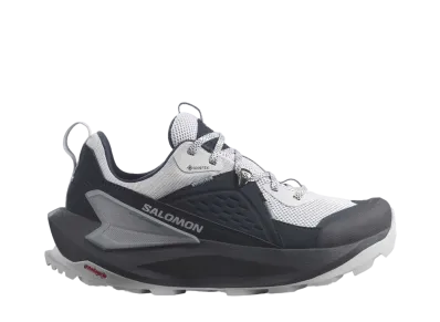 Salomon Women's Elixir GORE-TEX "Carbon/Pearl Blue/Flint Stone"