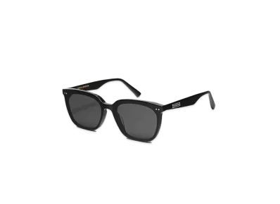 Gentle Monster Heizer 01 "Black"