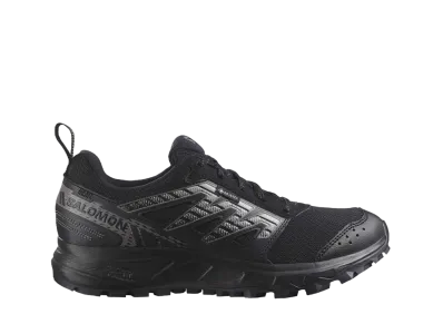 Salomon Women's Wander GORE-TEX "Black/Plum Kitten/Gull"