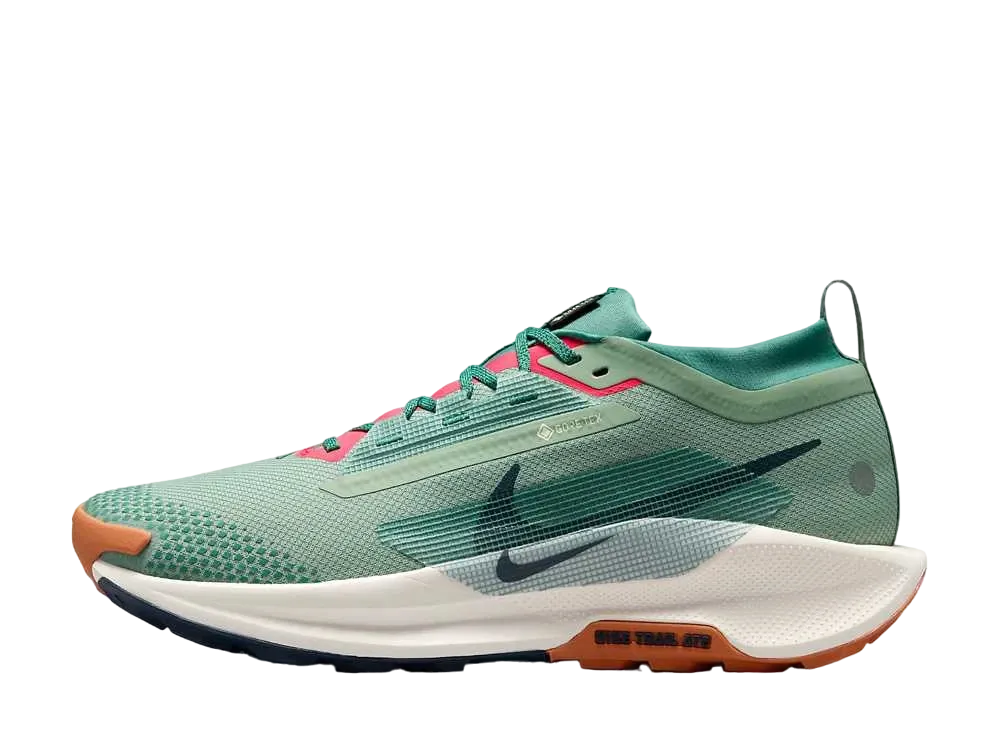Nike Pegasus Trail 5 GORE-TEX "Jade Horizon/Bicoastal/Pale Ivory/Armory Navy"