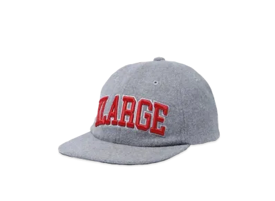 XLARGE ARCH LOGO 3D EMB. CAP "GREY"