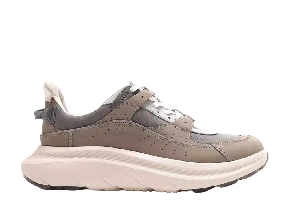 アグ CA805 V2 ヌバック "シール"