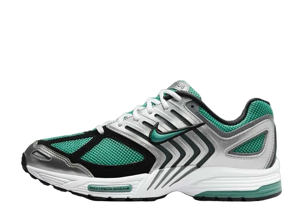 Nike Air Pegasus 2K5 "Bicoastal"