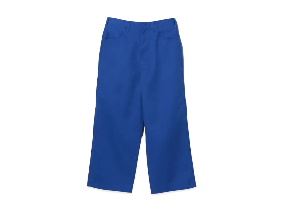 BEAMS FUTURE ARCHIVE x Dickies Exclusive Baggy Pants "Royal Blue"