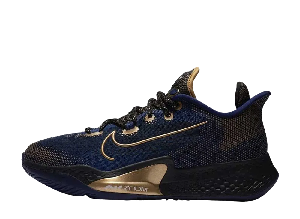 ナイキ エアズーム BB NXT "ブルーボイド/ブラック/メタリックゴールドコイン"