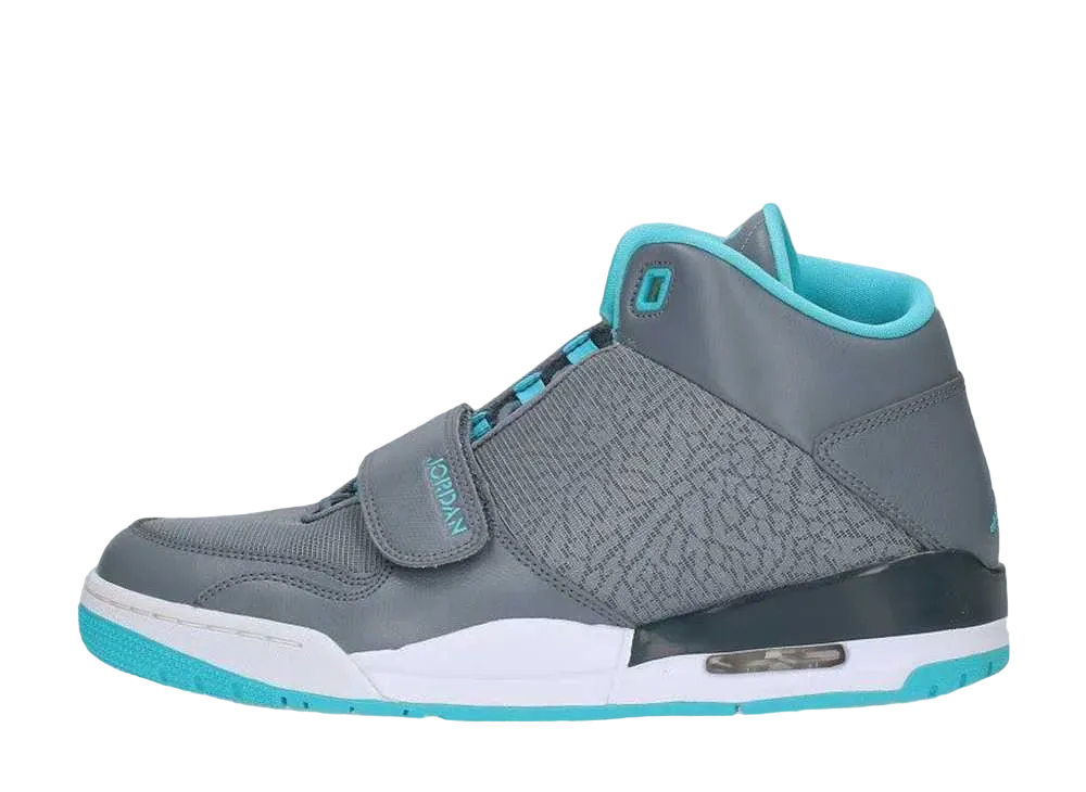 ナイキ ジョーダン フライトクラブ 90s "クールグレー/ガンマブルー"