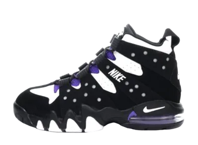 Nike Air Max 2 CB '94 OG "Pure Purple" (2015)