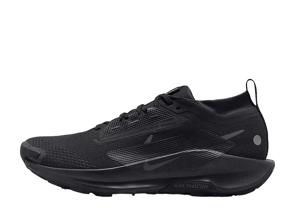 Nike Pegasus Trail 5 GORE-TEX "Black/Anthracite"