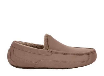 UGG Ascot "Caribou"