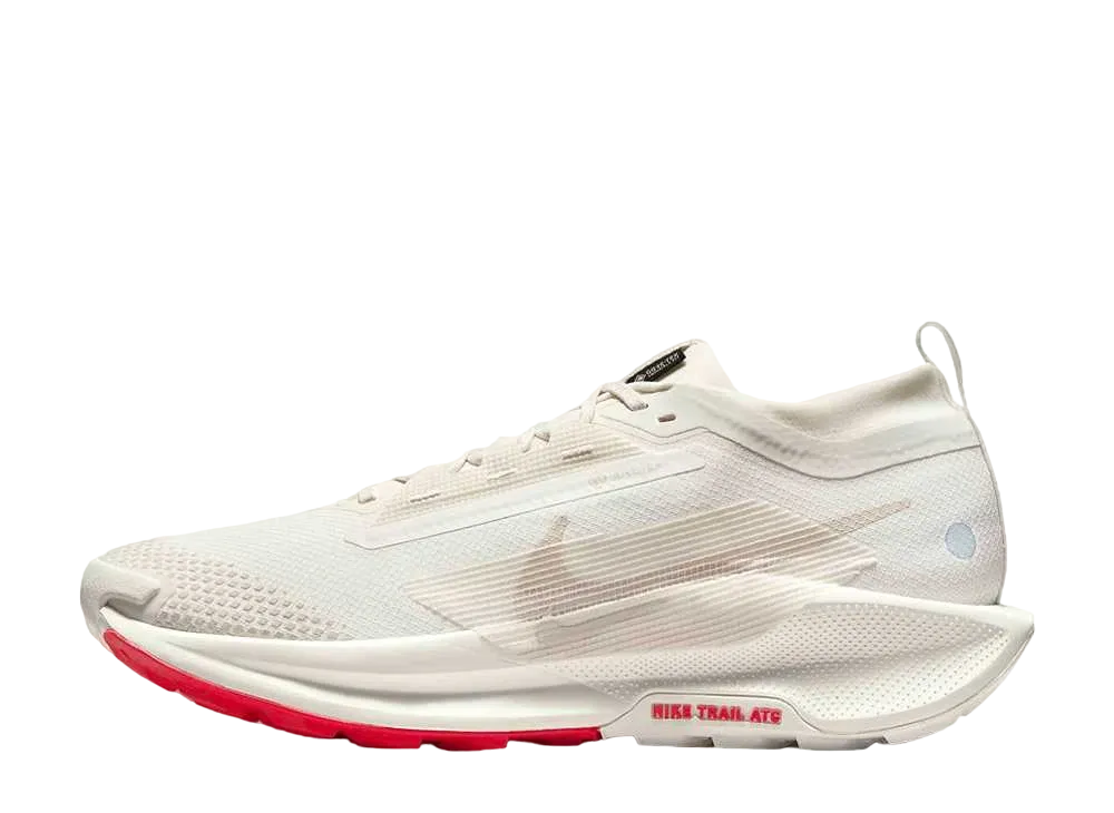 Nike Pegasus Trail 5 GORE-TEX "Sail/Picante Red/Light Orewood Brown"