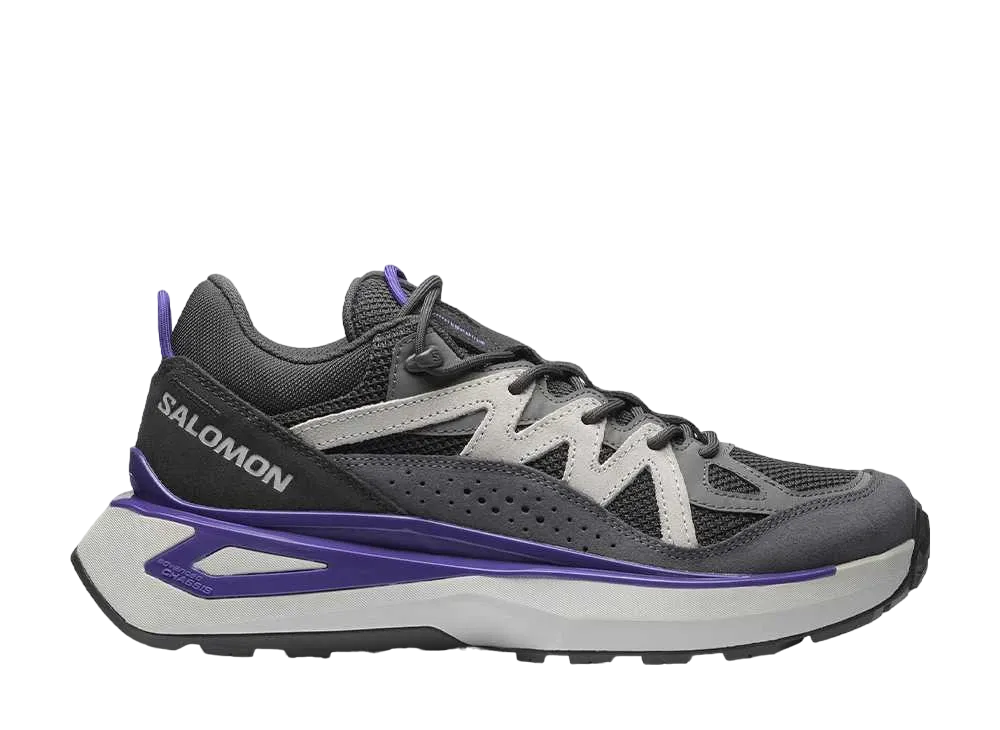 Salomon Odyssey ELMT Low "Asphalt/Castlerock/Gray Violet"