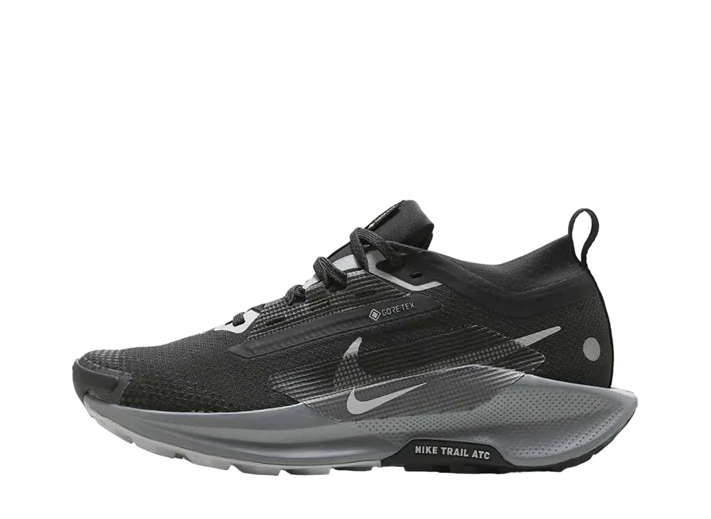 Nike Women's Pegasus Trail 5 GORE-TEX "Black/Cool Grey/Anthracite/Wolf Gray"