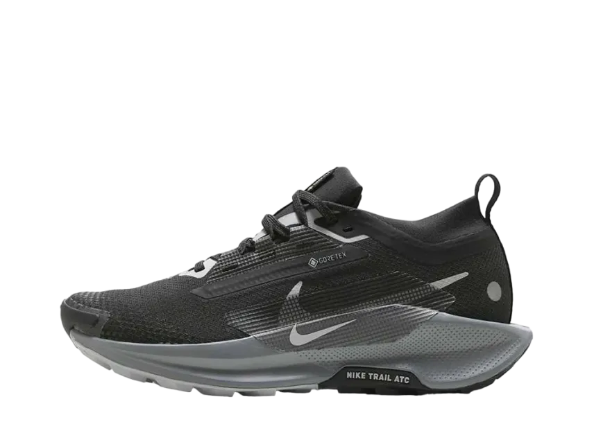 Nike Women's Pegasus Trail 5 GORE-TEX Nike Women's Pegasus Trail 5 GORE-TEX