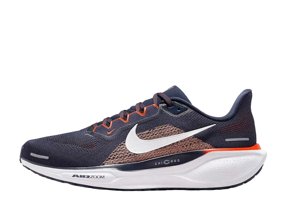 ナイキ エアズーム ペガサス41 NFL "シカゴベアーズ"