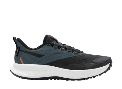 Reebok Floatride Energy 5 Adventure "Pure Grey"