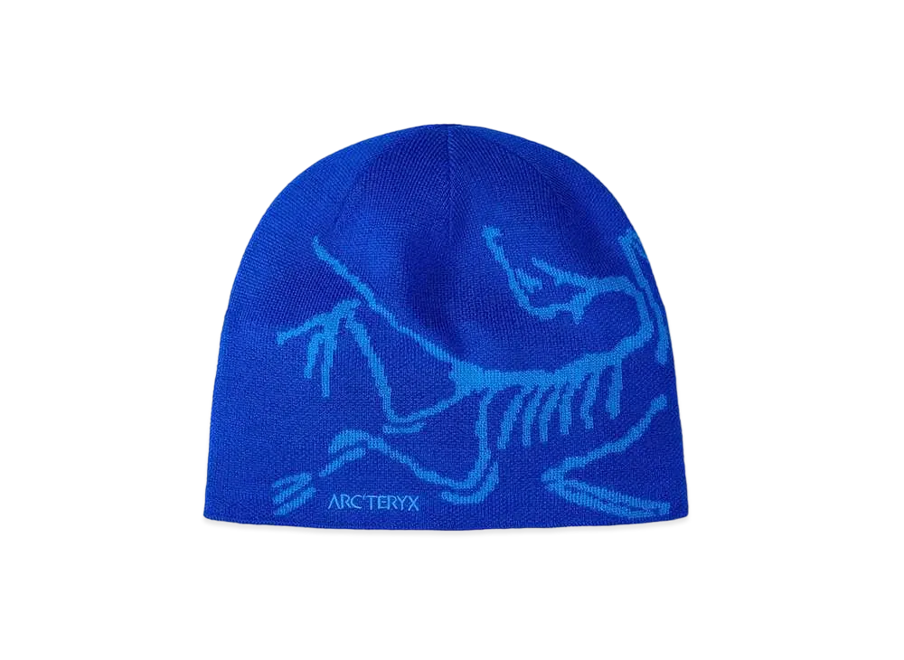 ARC'TERYX Bird Word Toque 