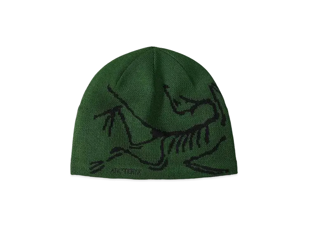 ARC'TERYX Bird Head Toque 