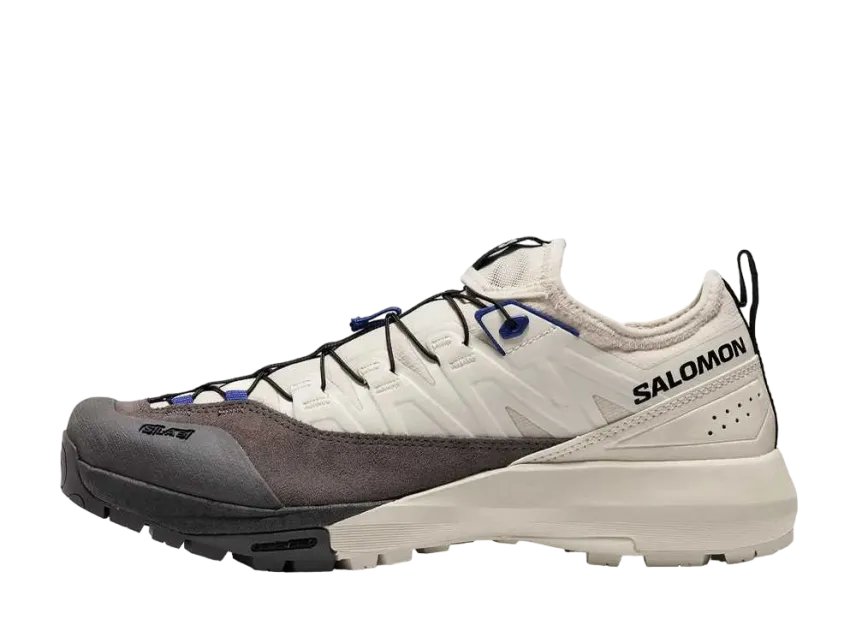 サロモン アルパインウェイ アドバンスド "アーモンドミルク/プラム"